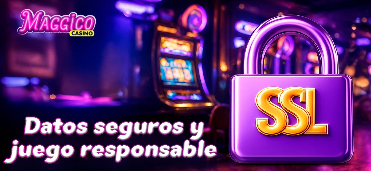 Seguridad digital y funciones responsables